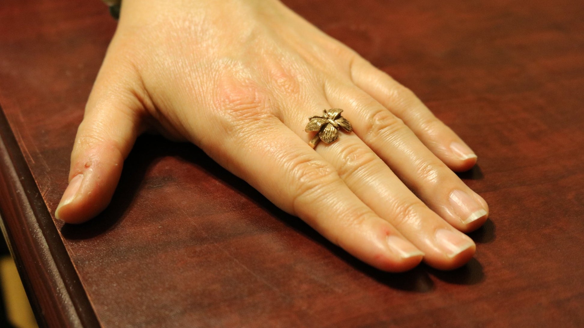 Butterfly Ring in Sterling Silver or Antique Bronze - Le Dragon Argenté