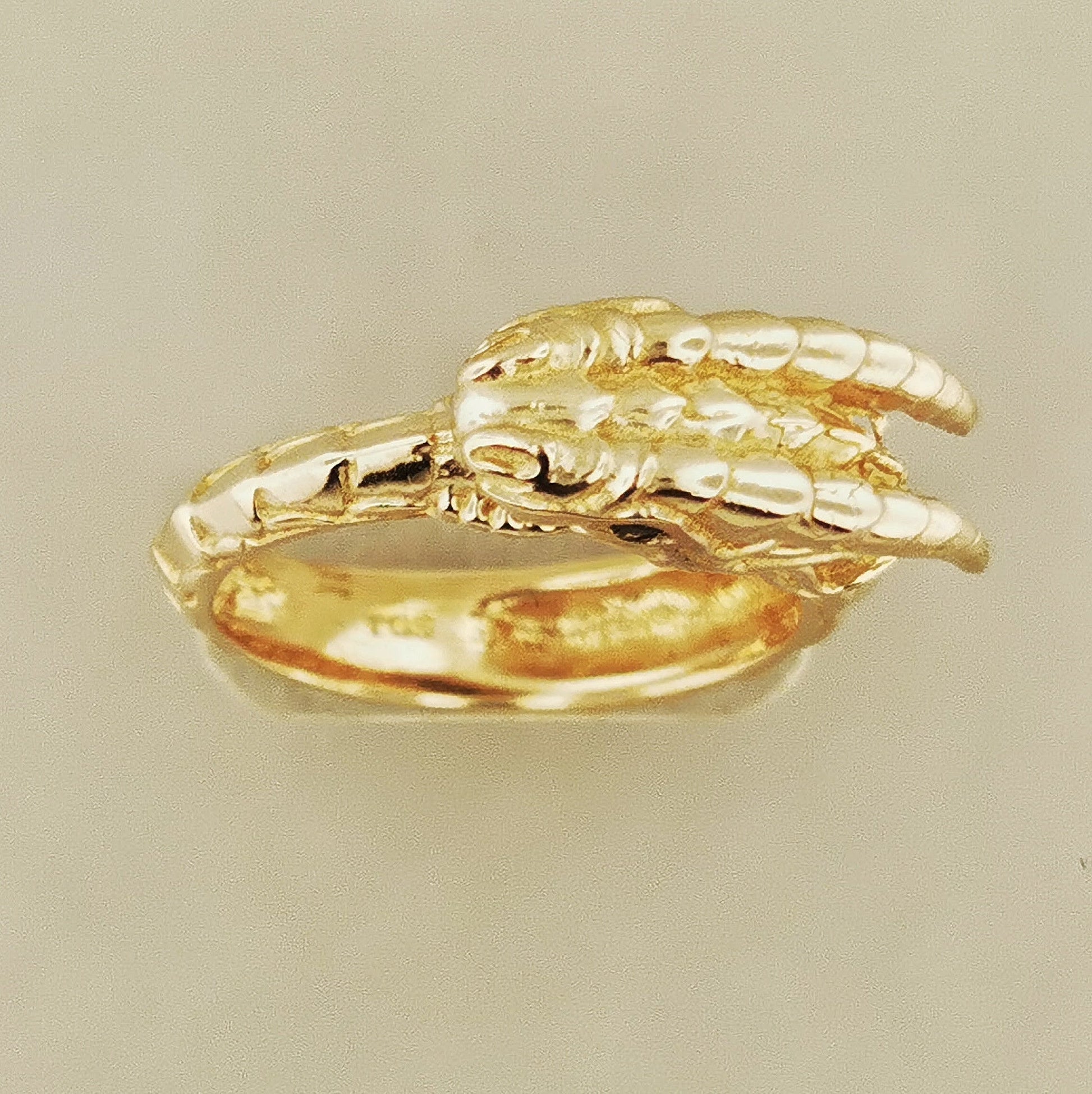 Eternal Dragon Ring With CZ Eyes In Antique Bronze Top View - Le Dragon Argenté