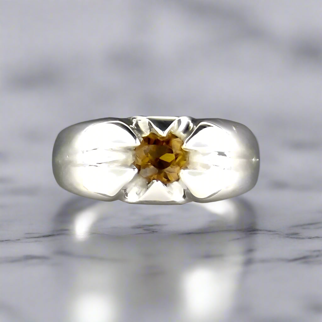 Mens Classic 6 Prong Gemstone Ring In Sterling Silver - Le Dragon Argenté