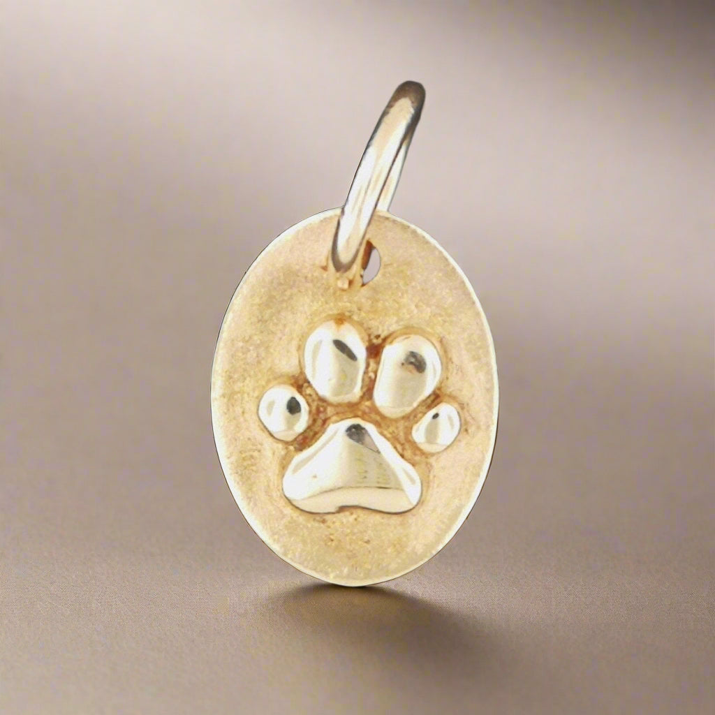 Paw Print Medallion in Sterling Silver or Antique Bronze - Le Dragon Argenté