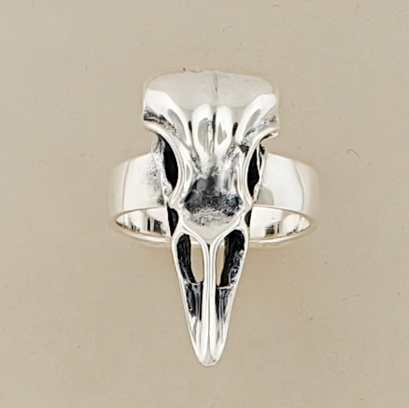 Sterling silver raven skull ring with gothic and witchy style vibes. Dark aesthetic bird skull ring for fans of witchcraft and alt fashion
