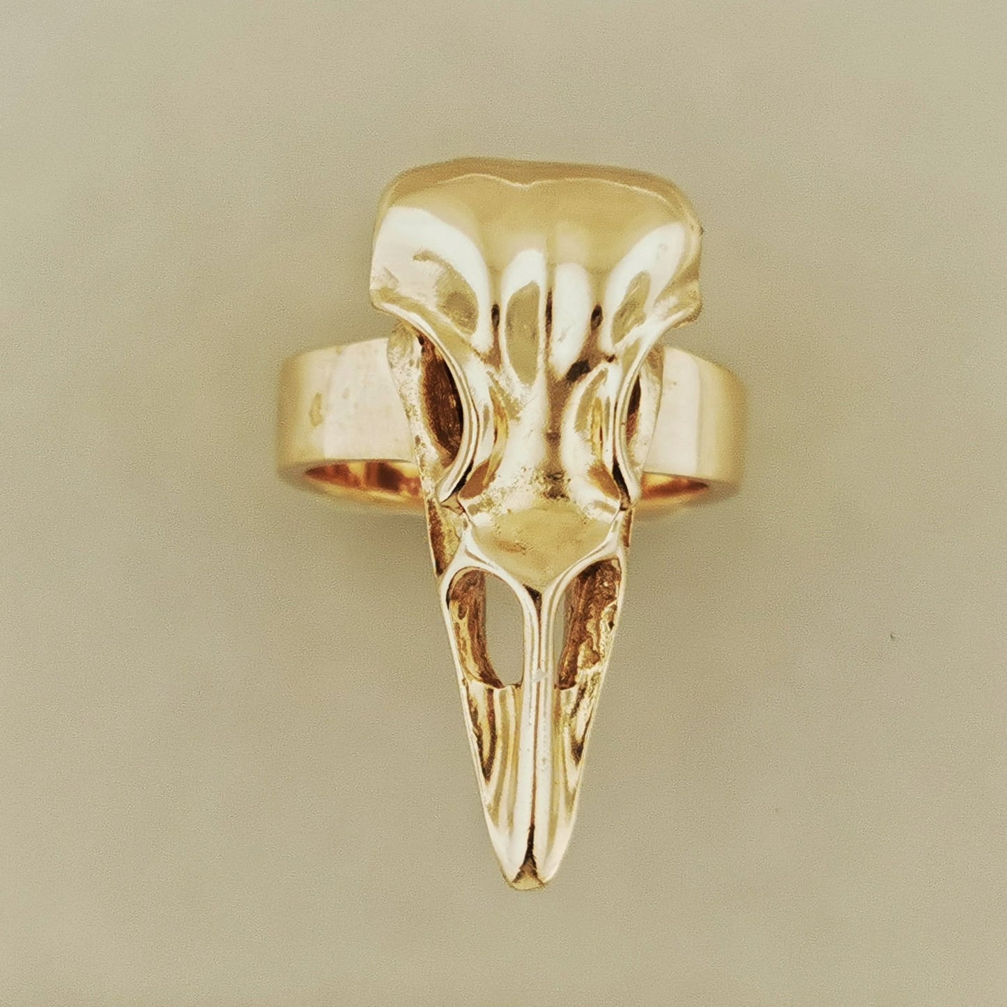 Bronze raven skull ring with dark bird totem look for pagan fans. Dark aesthetic bird skull ring for fans of witchcraft and alt fashion