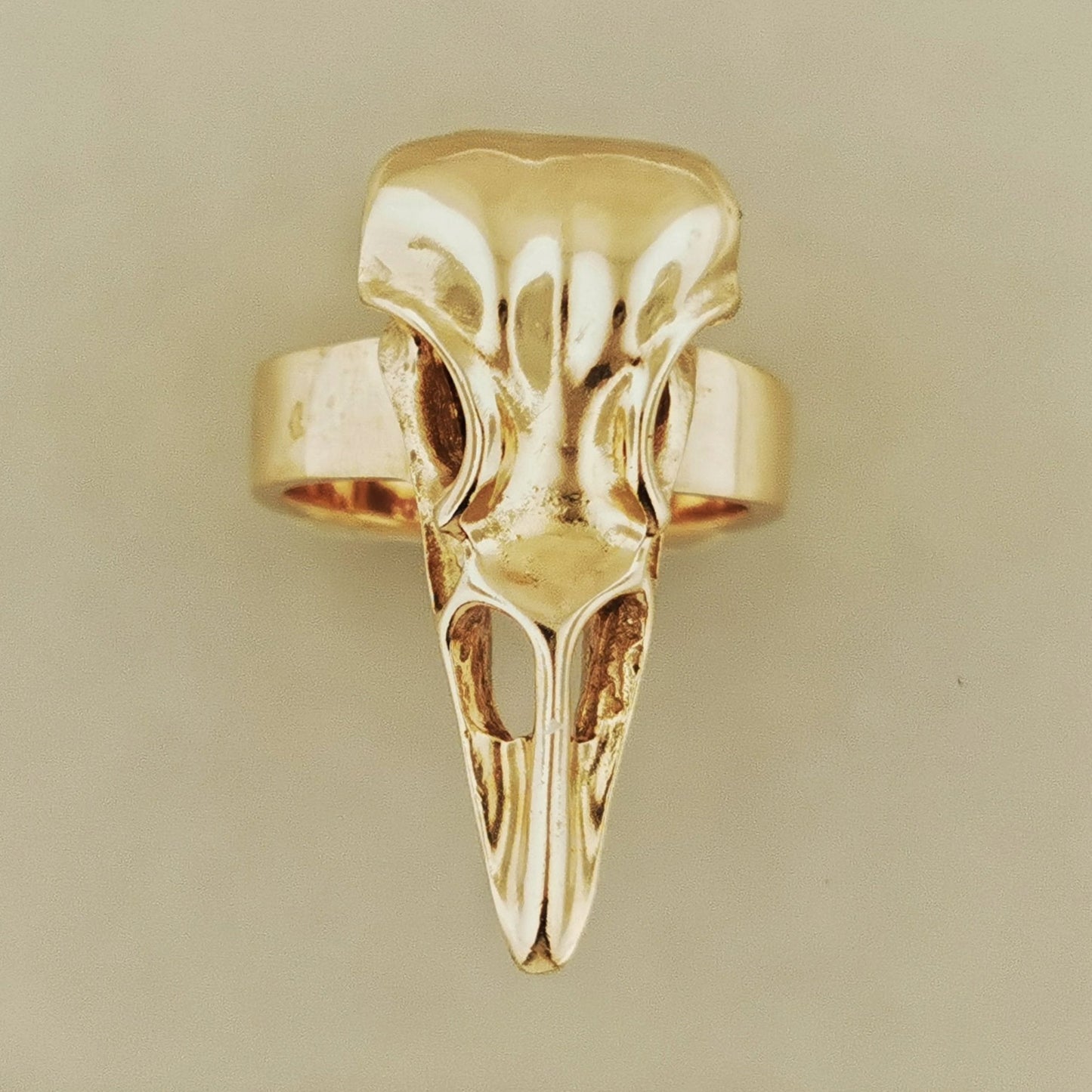 Bronze raven skull ring with dark bird totem look for pagan fans. Dark aesthetic bird skull ring for fans of witchcraft and alt fashion