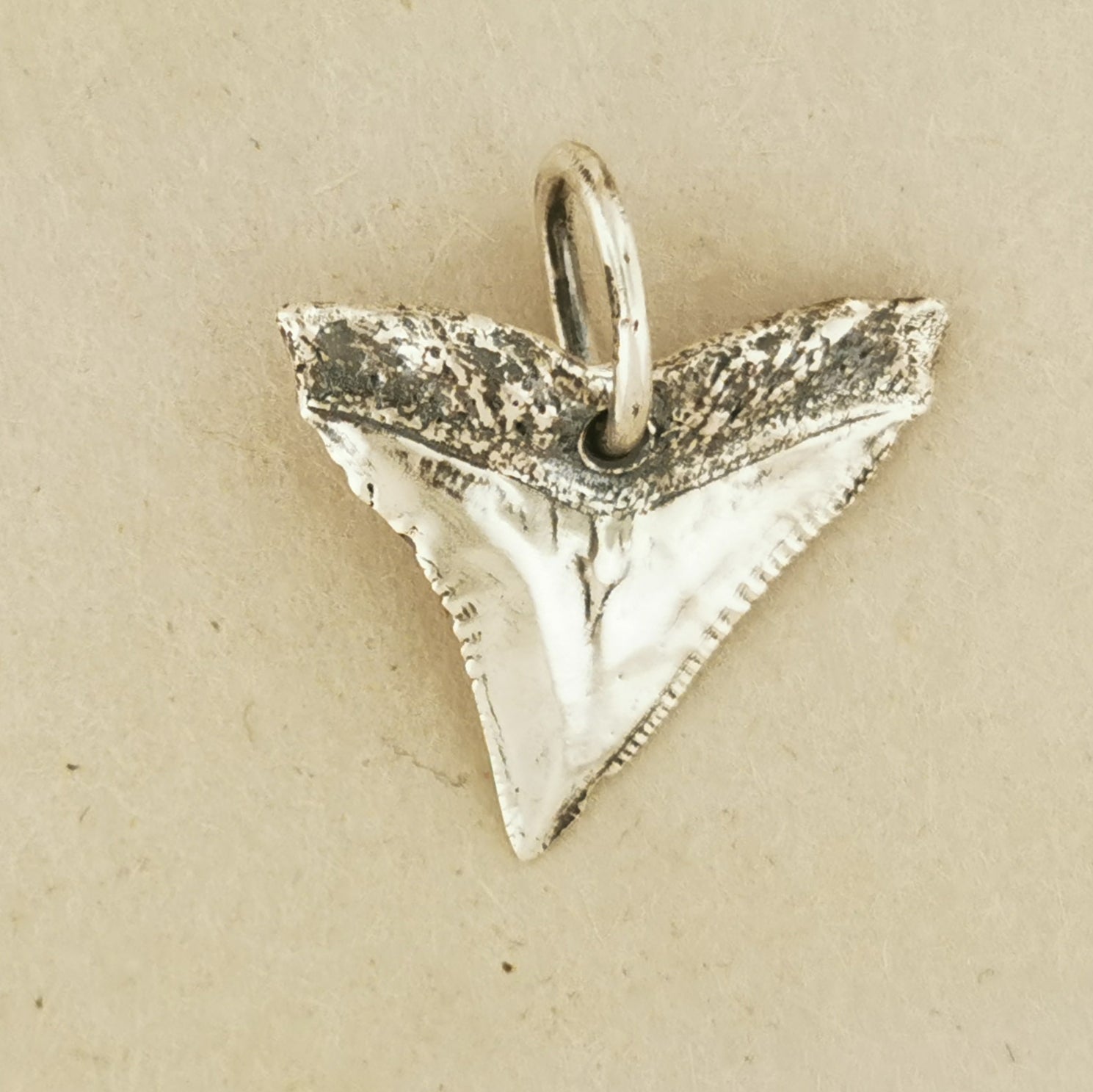 Shark Tooth Pendant in Sterling Silver or Antique Bronze - Le Dragon Argenté