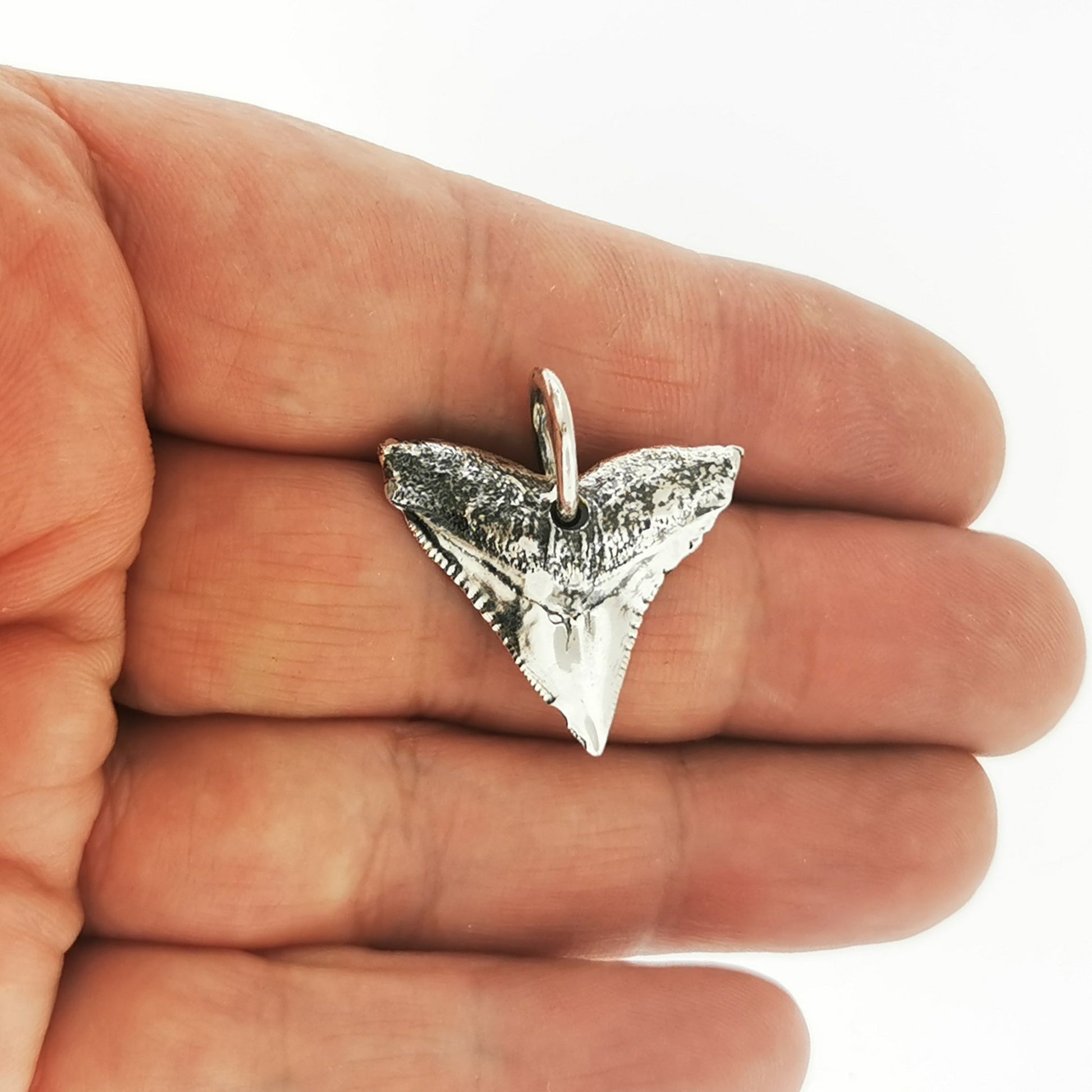 Shark Tooth Pendant in Sterling Silver or Antique Bronze - Le Dragon Argenté