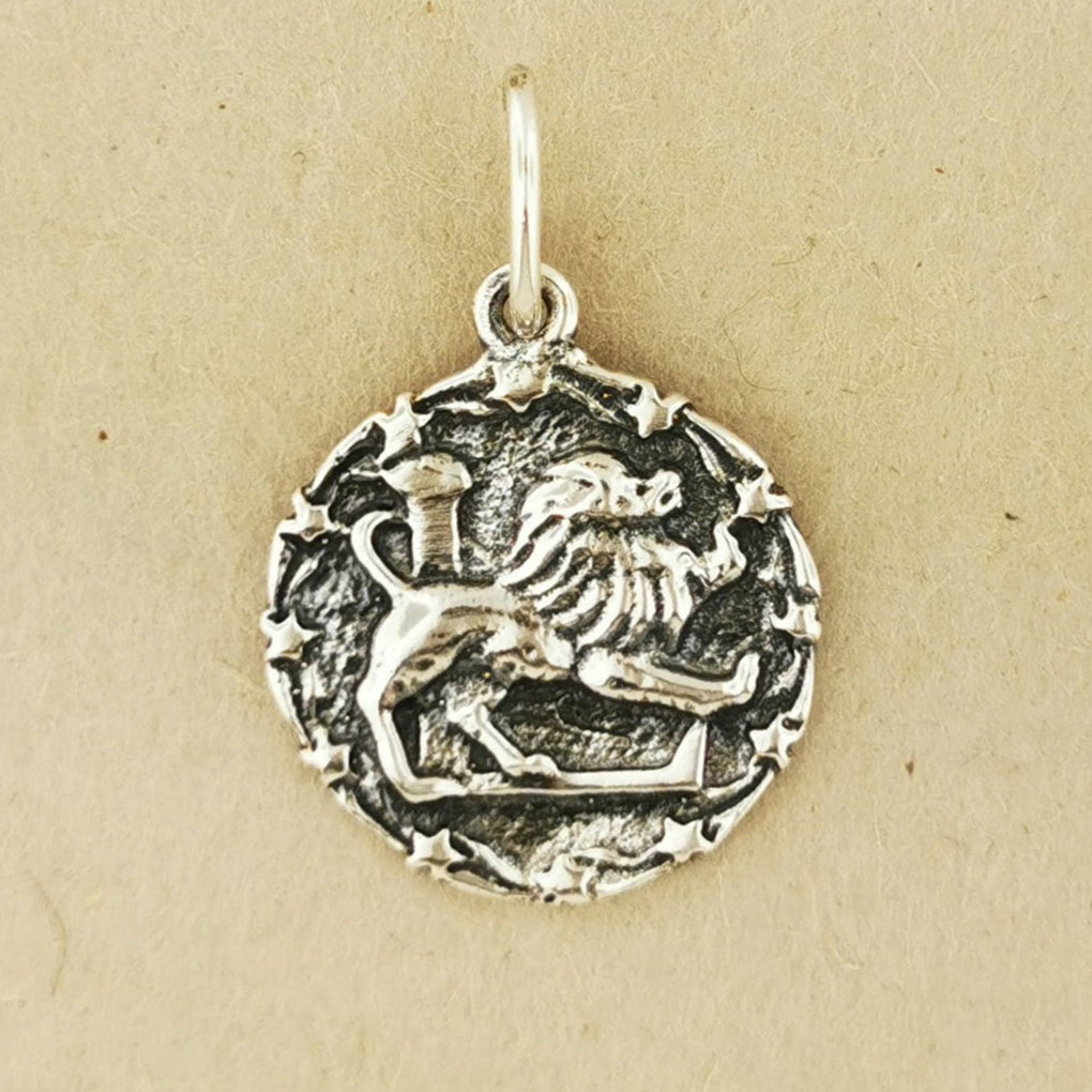 Zodiac Medallion in Sterling Silver Or Antique Bronze - Le Dragon Argenté