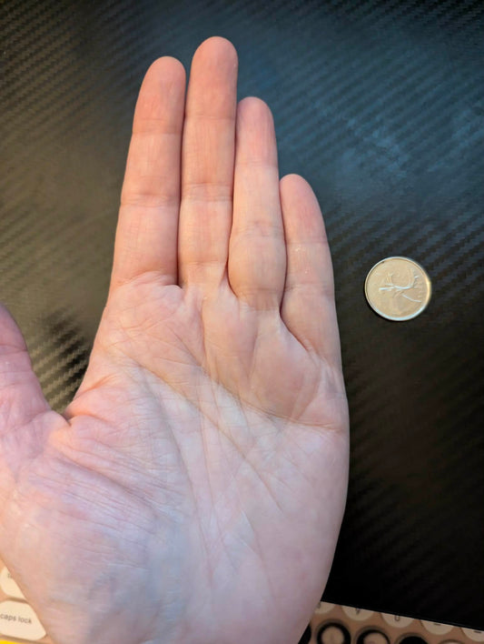 Can AI Really Measure Your Ring Size?