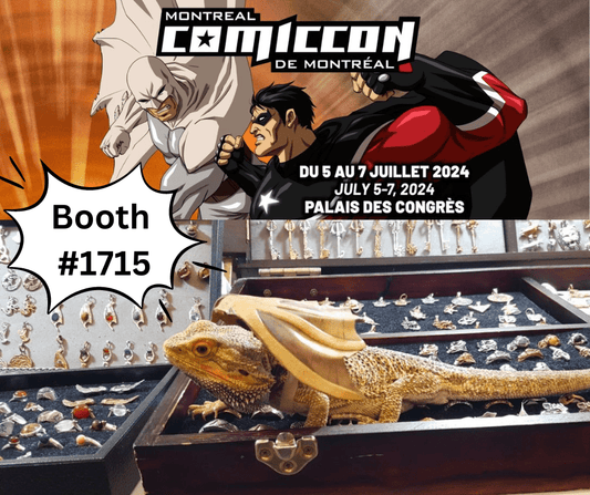 Best Picks For Montreal Comiccon 2024! - Le Dragon Argenté