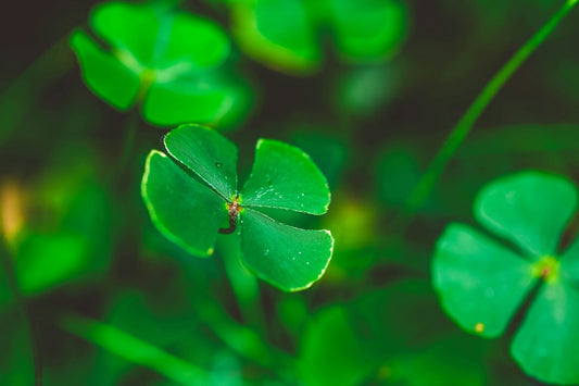 The Ancient Magic Behind St. Patrick’s Day Symbols - Le Dragon Argenté