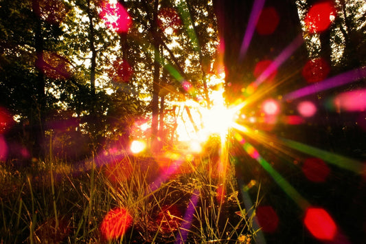 🐉 Why Geeks Were Basically Made for the Summer Solstice - Le Dragon Argenté