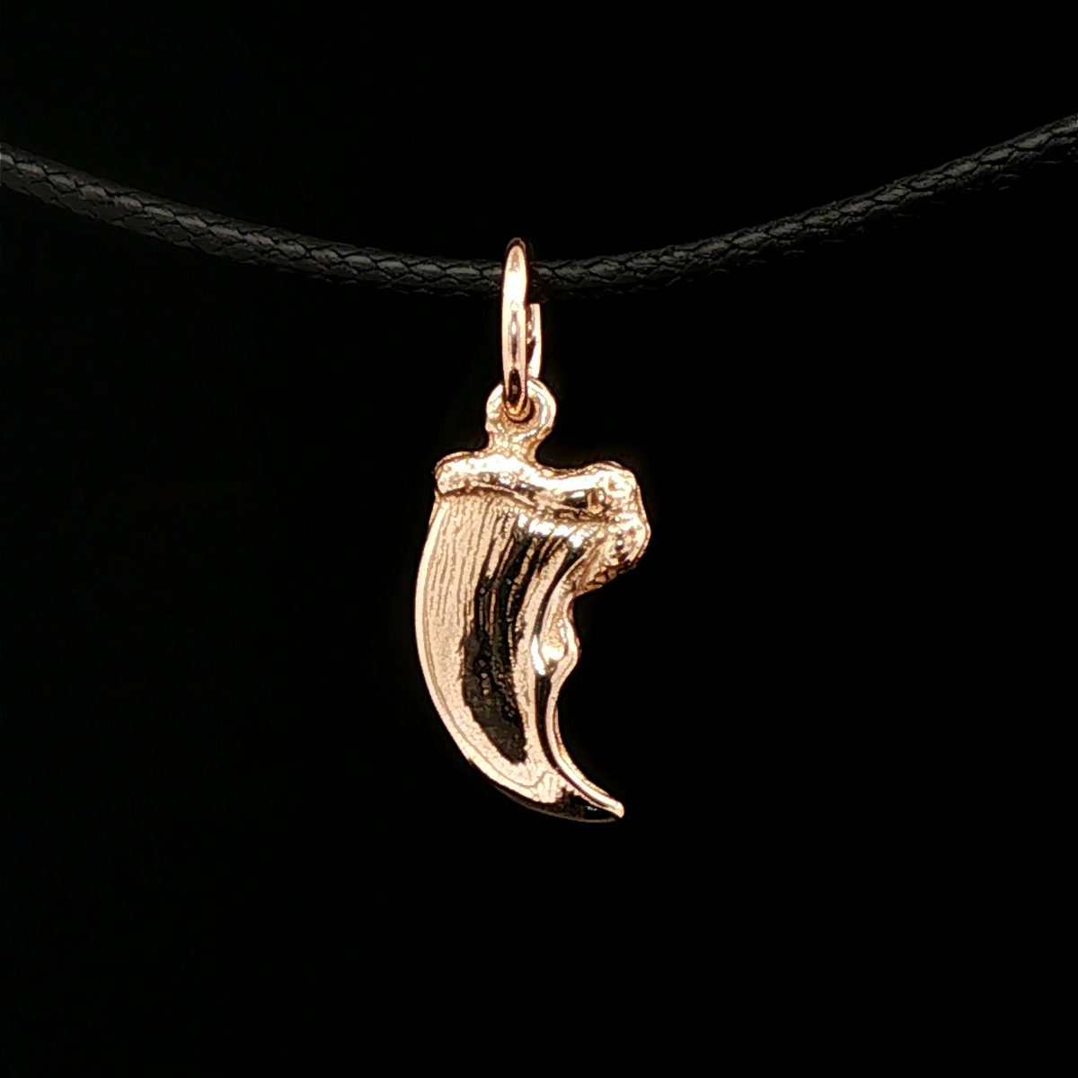 Bear Claw Charm Pendant in Antique Bronze - Le Dragon Argenté
