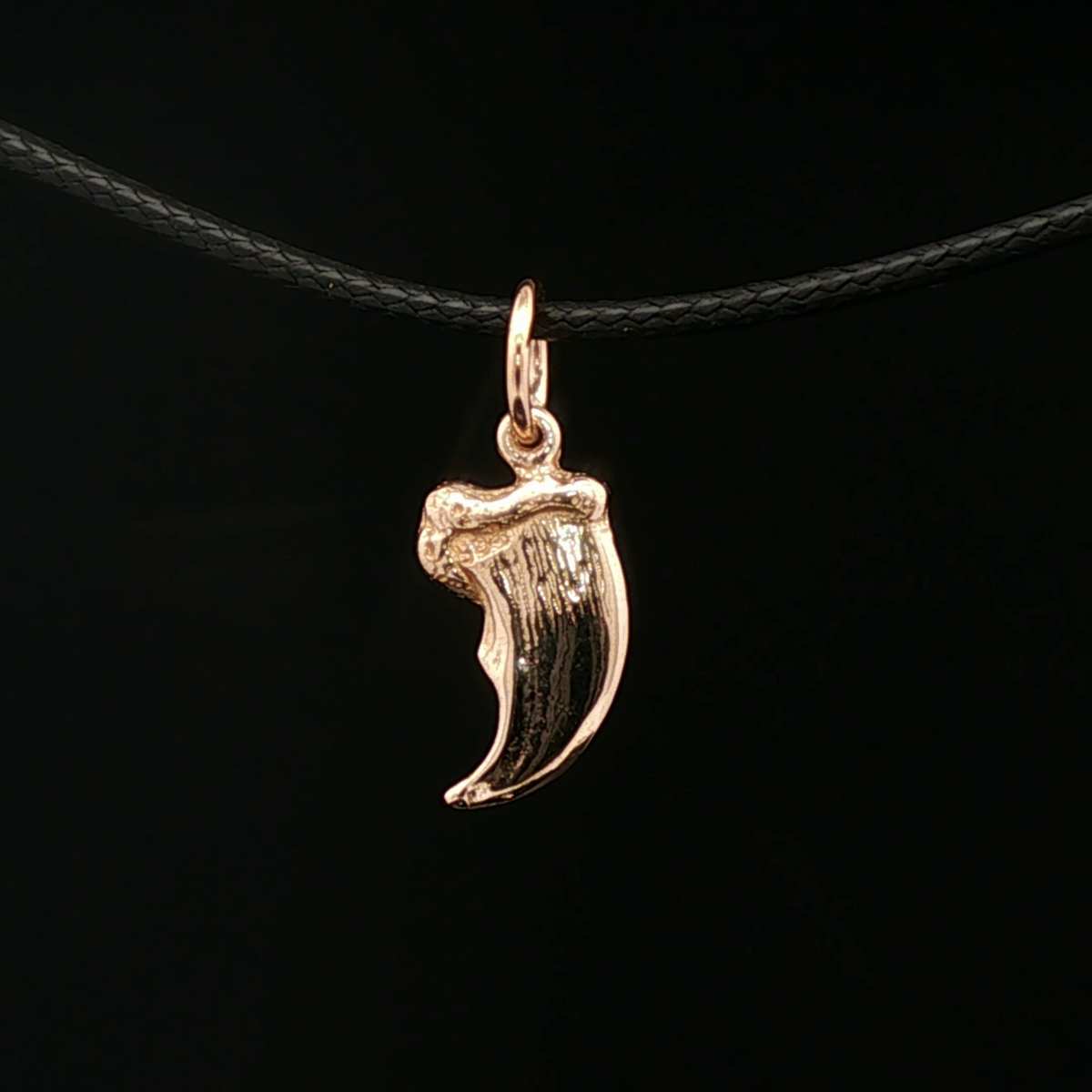 Bear Claw Charm Pendant in Antique Bronze - Le Dragon Argenté