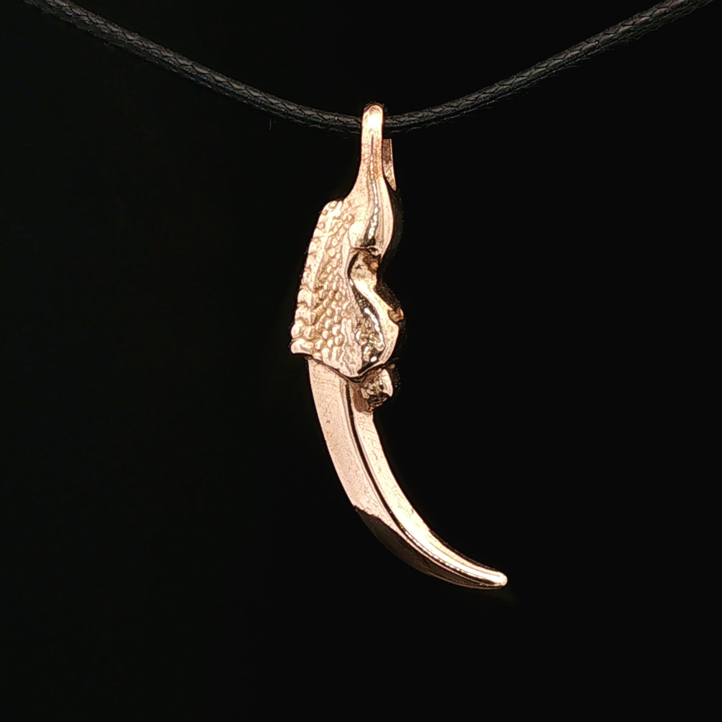 Dragon Claw Pendant - Le Dragon Argenté