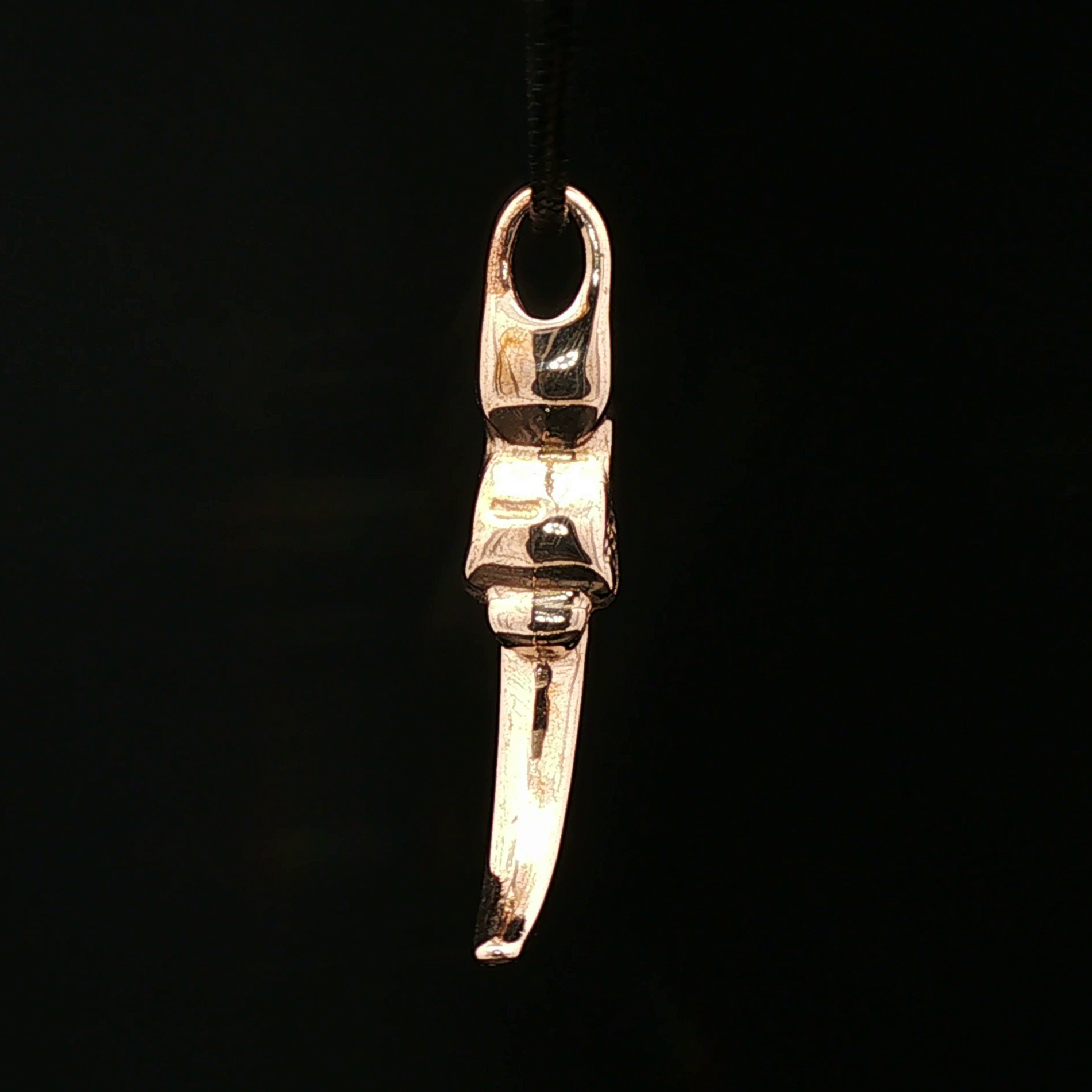 Dragon Claw Pendant - Le Dragon Argenté