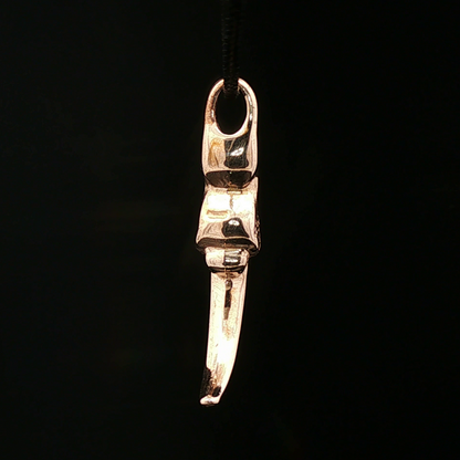 Dragon Claw Pendant - Le Dragon Argenté