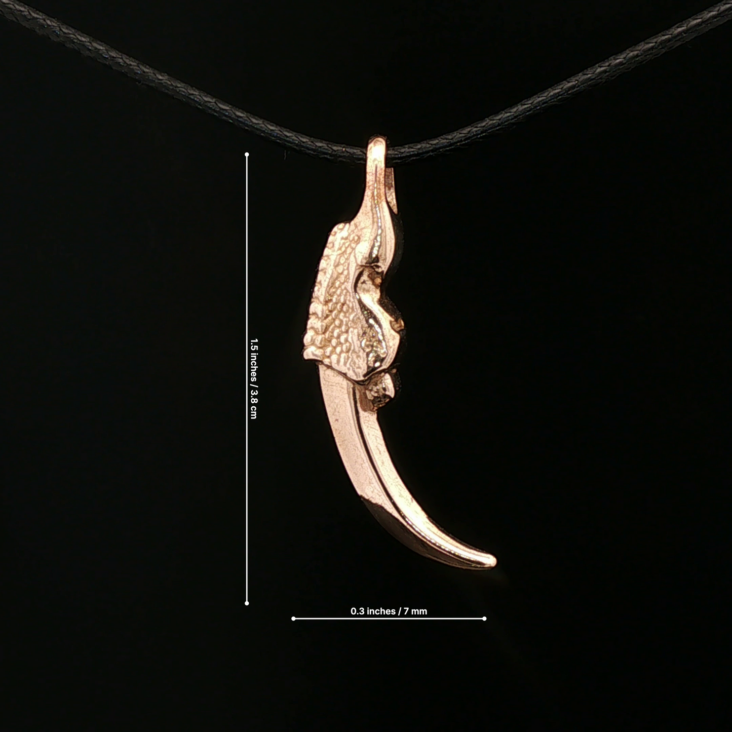 Dragon Claw Pendant - Le Dragon Argenté