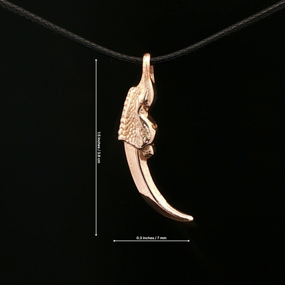 Dragon Claw Pendant - Le Dragon Argenté