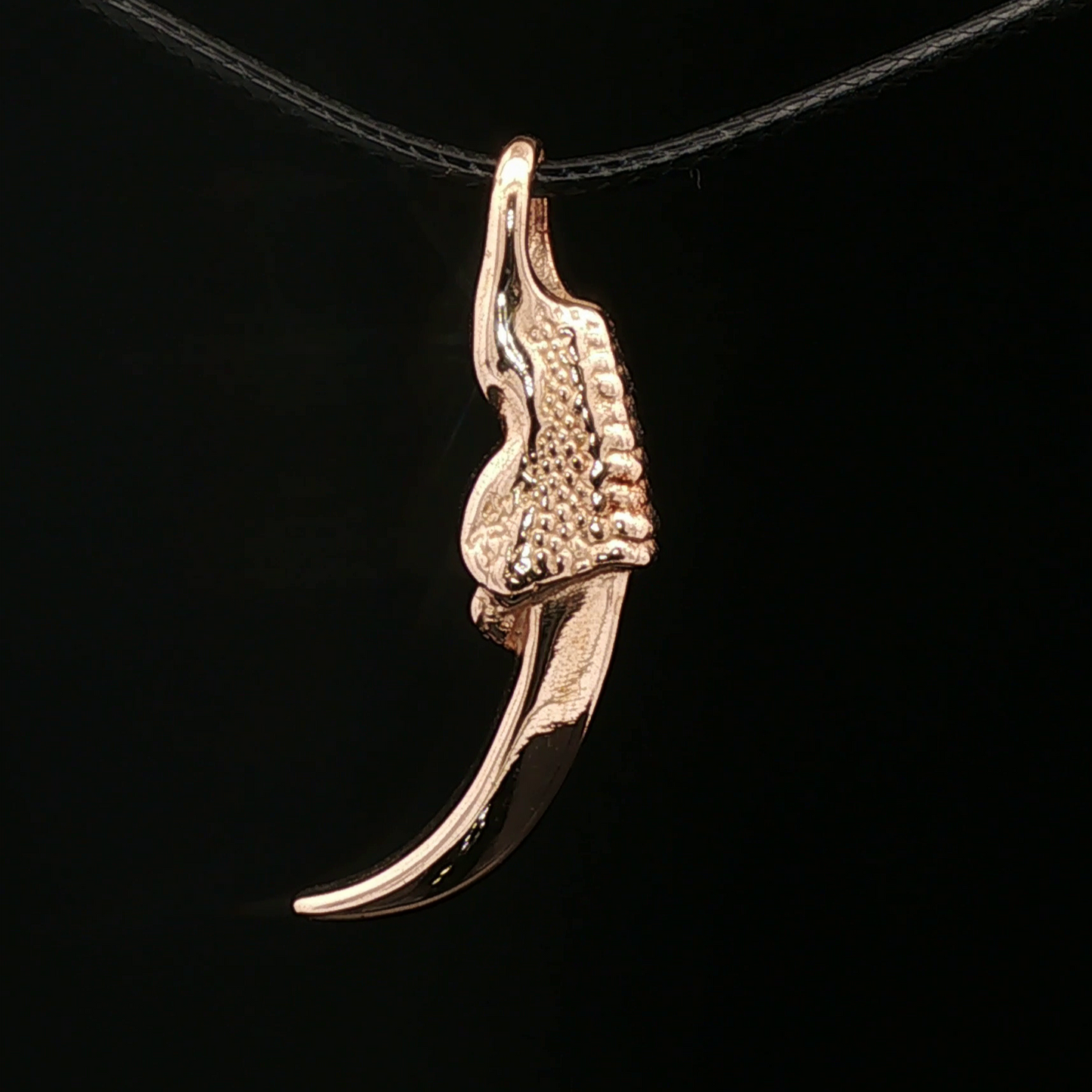Dragon Claw Pendant - Le Dragon Argenté