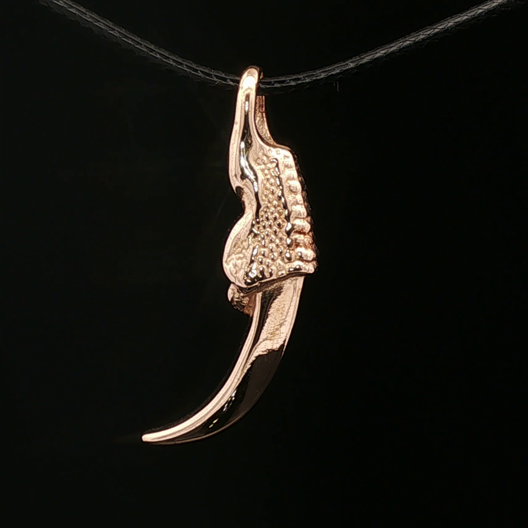 Dragon Claw Pendant - Le Dragon Argenté
