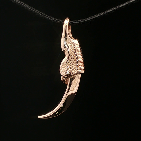 Dragon Claw Pendant - Le Dragon Argenté