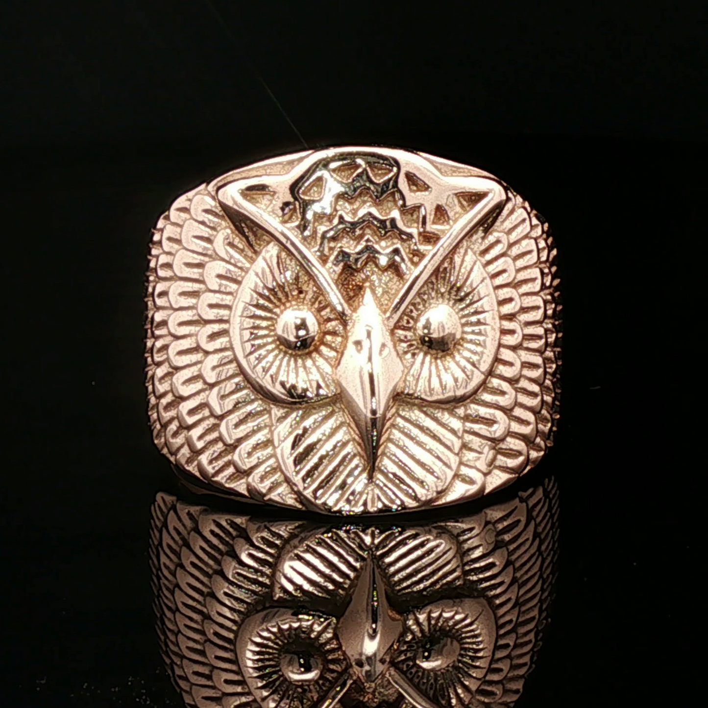Large owl signet ring in antique bronze with detailed owl face design by Le Dragon Argenté.