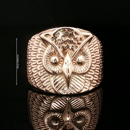 Large owl signet ring in antique bronze with detailed owl face design by Le Dragon Argenté.