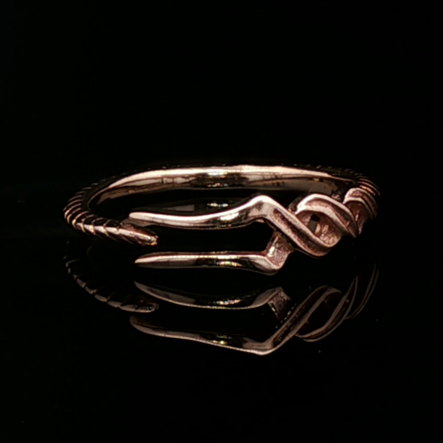 Adjustable NGA Spear Ring