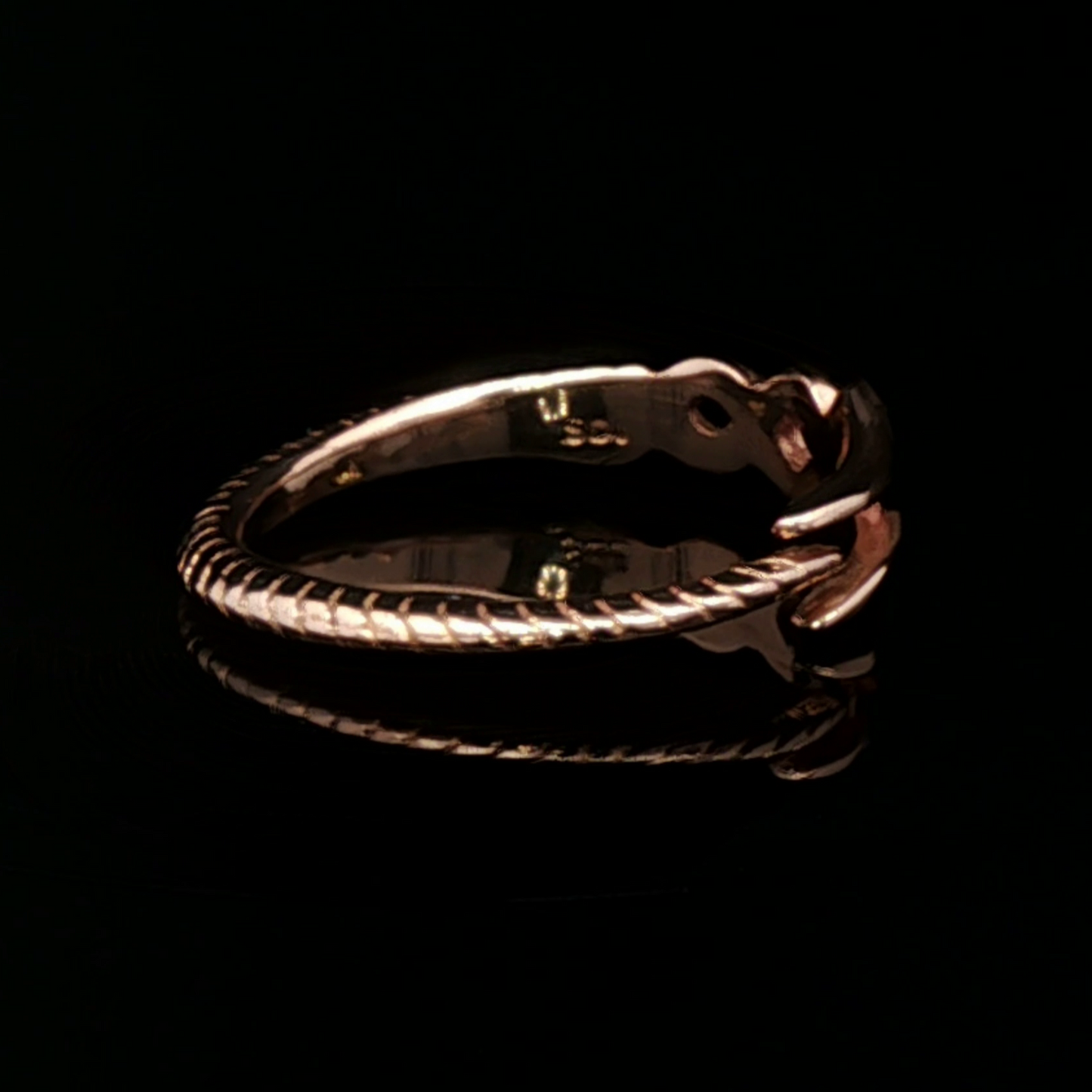 Adjustable NGA Spear Ring
