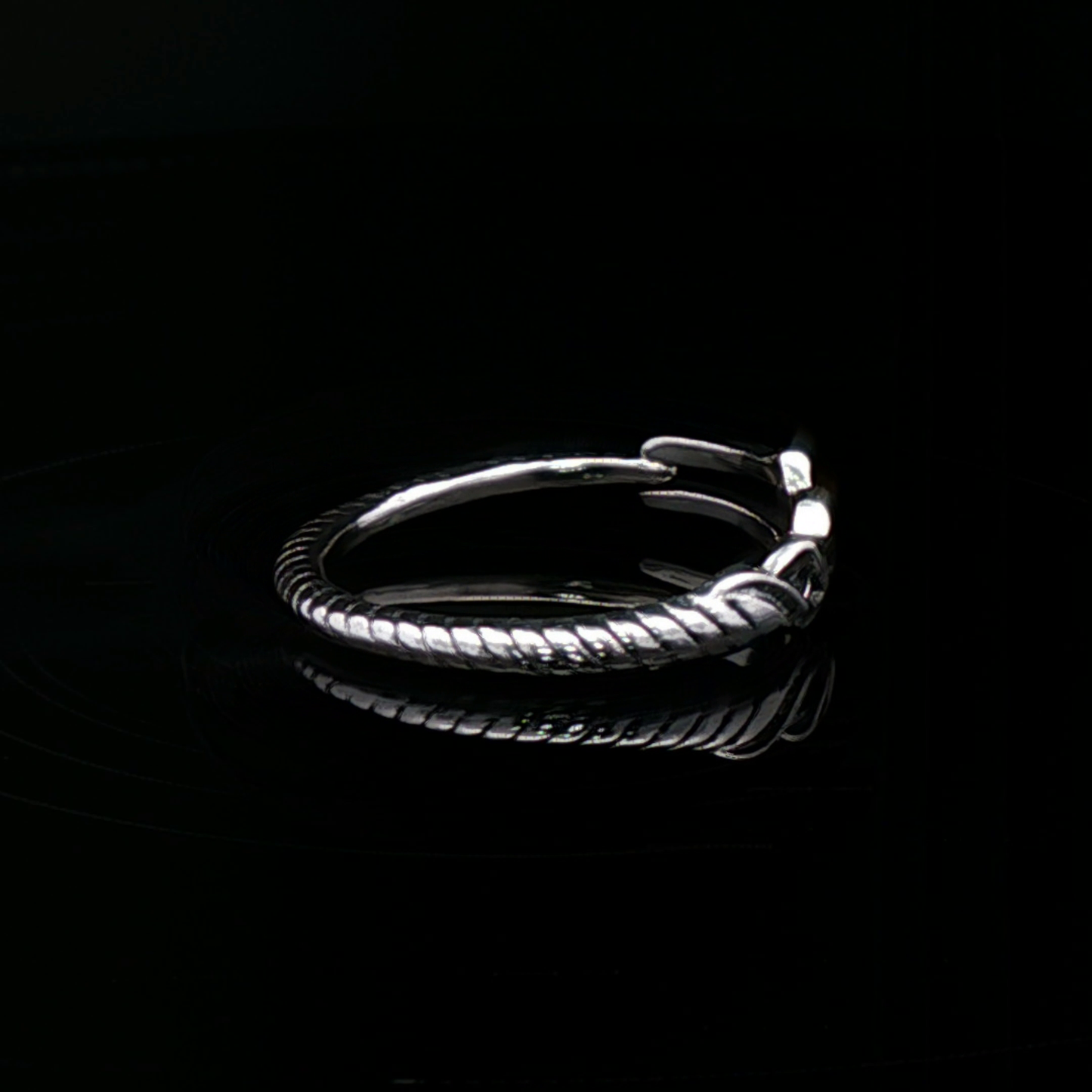 Adjustable NGA Spear Ring