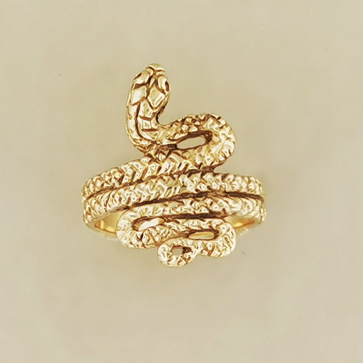 Coiled Snake Ring in Sterling Silver or Antique Bronze - Le Dragon Argenté