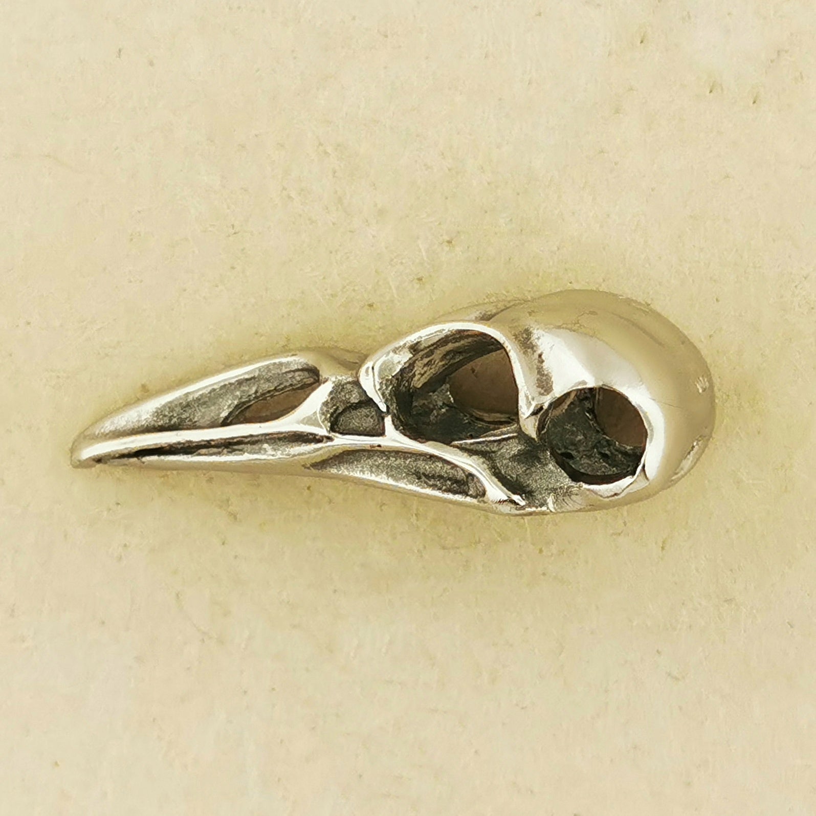Side View of bird skull pendant on a beige background. Stainless steel raven pendant perfect for goths witches or metalheads