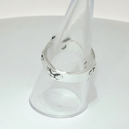 Howls Moving Castle Ring in Sterling Silver with Fancy Colour Sapphires - Le Dragon Argenté