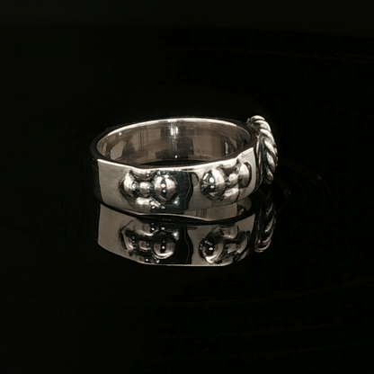 Howls Moving Castle Ring in Sterling Silver with Imitation Birthstone - Le Dragon Argenté