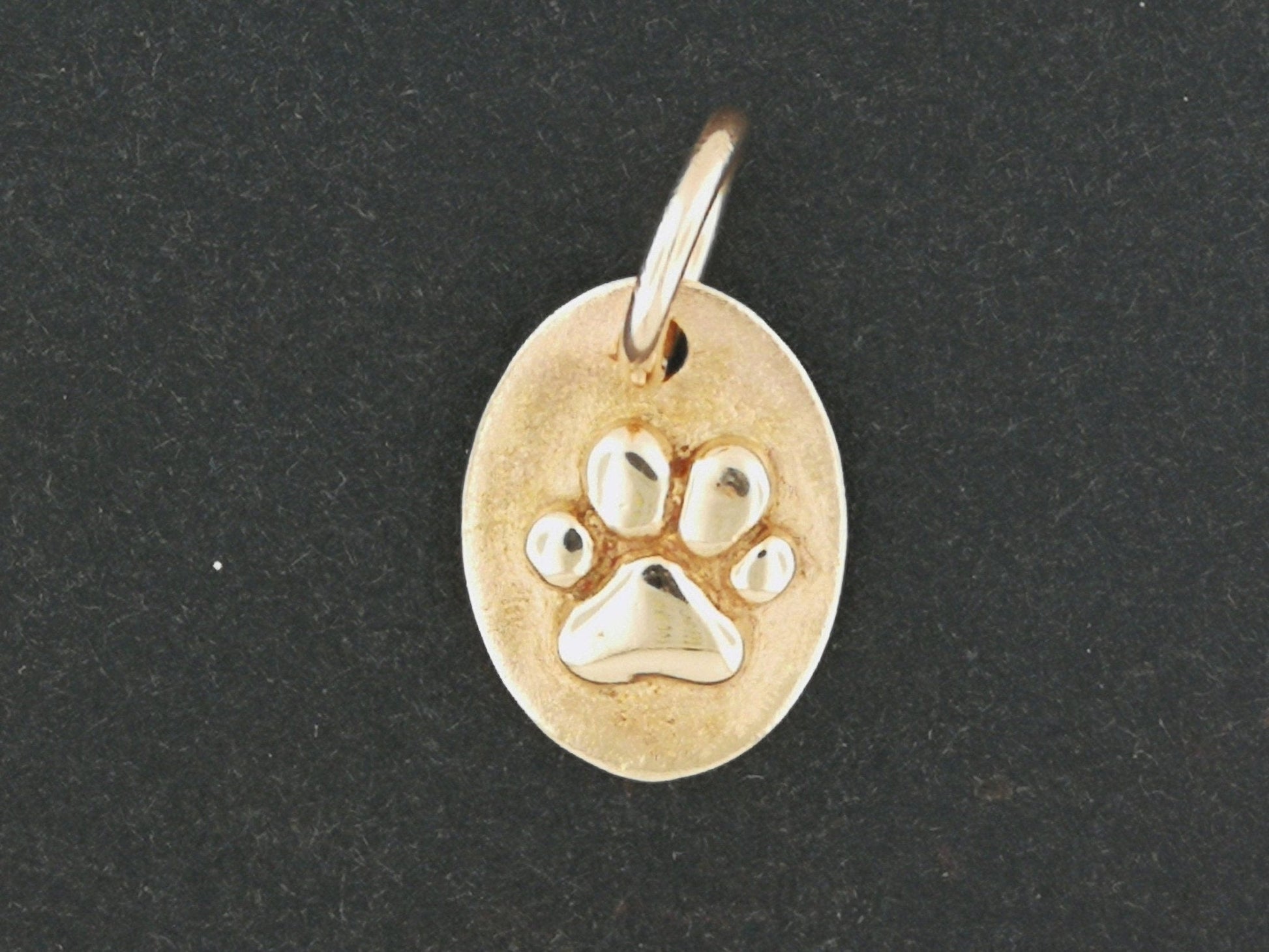 Paw Print Medallion in Sterling Silver or Antique Bronze - Le Dragon Argenté