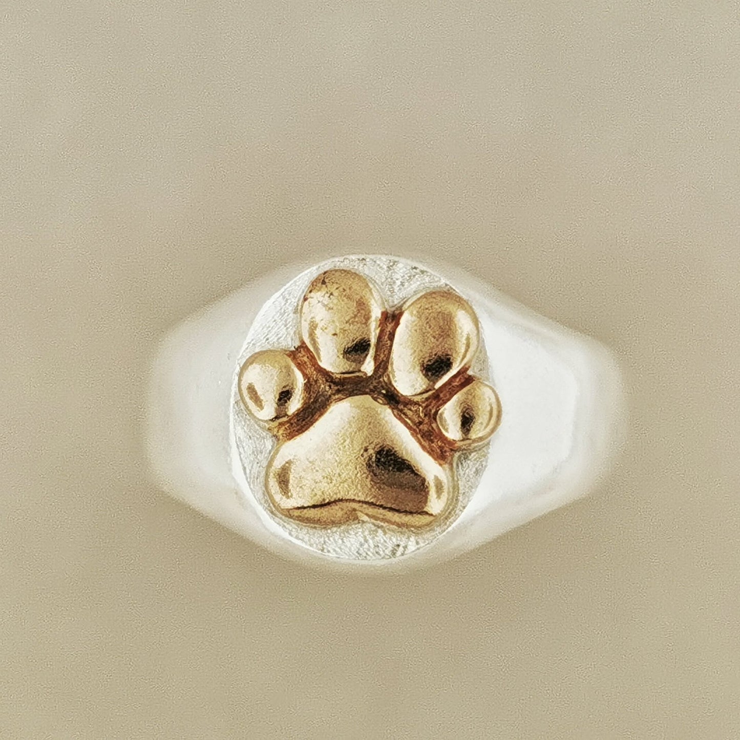 Paw Print Signet Ring in Sterling Silver or Antique Bronze - Le Dragon Argenté