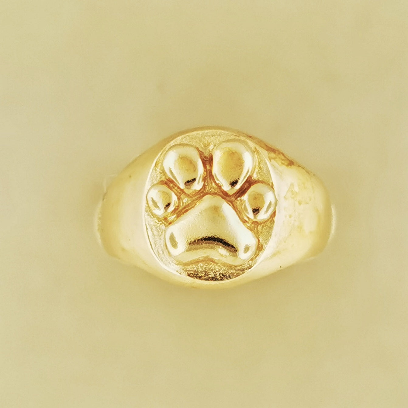 Paw Print Signet Ring in Antique Bronze, Paw Print Signet Ring, Bronze Paw Print, Bronze Dog Paws, Bronze Cat Paws, Antique Bronze Signet Ring, Bronze Paw Print Signet Ring, Paw Print Ring, Dog Paw Ring, Cat Paw Ring, Bronze Animal Jewelry, Bronze Animal Jewellery, Pet Lover Jewelry, Pet Lover Jewellery, Pet Lover Ring, Bronze Pet Lover Ring