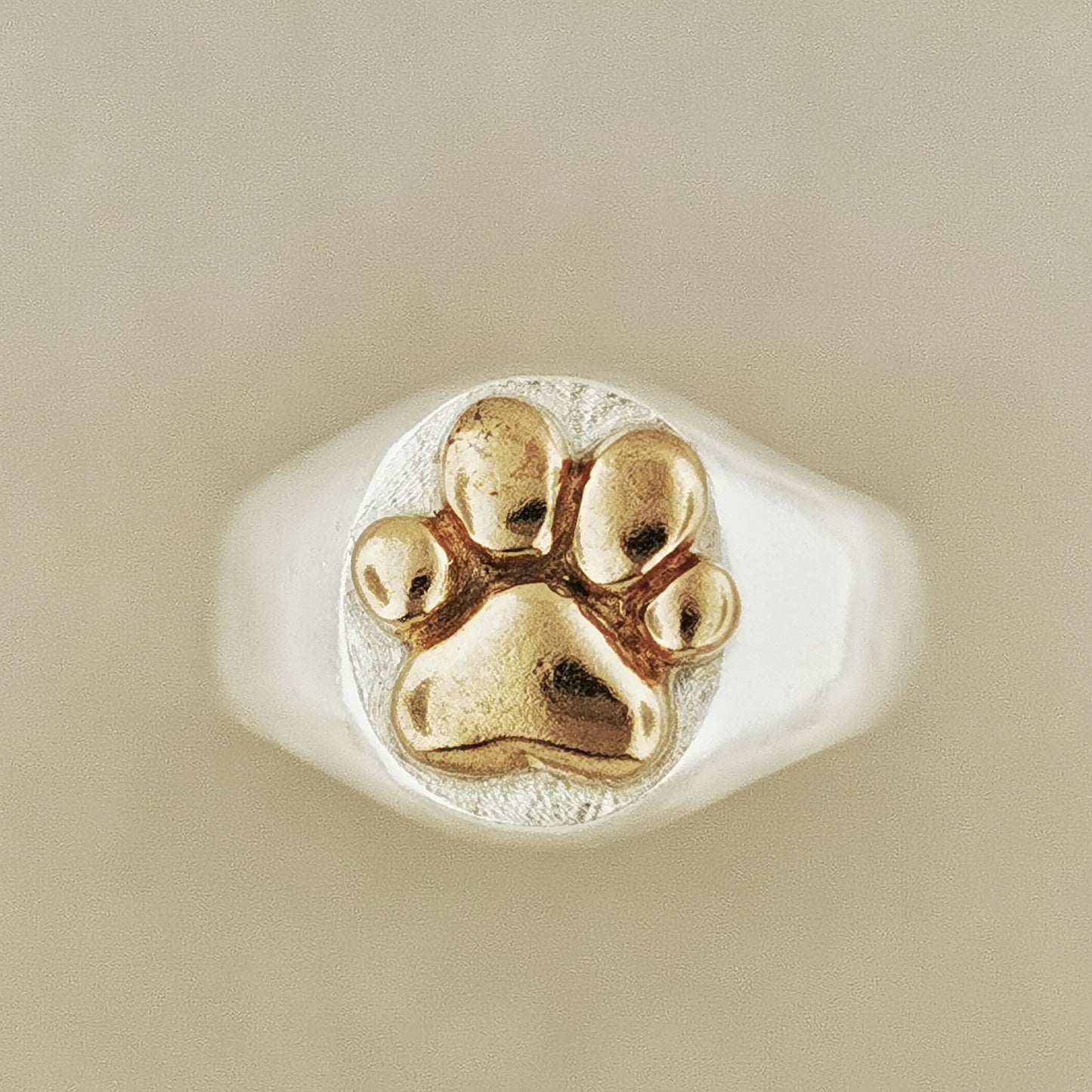 Paw Print Signet Ring in Sterling Silver or Antique Bronze