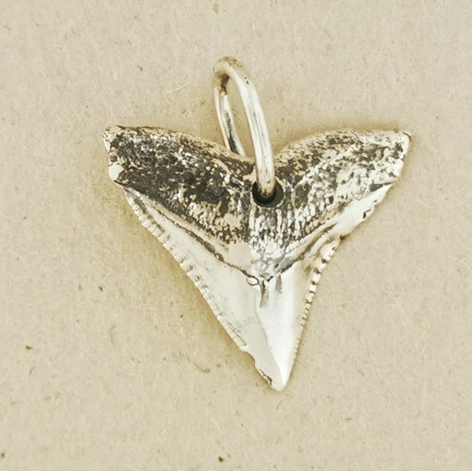 Shark Tooth Pendant in Sterling Silver or Antique Bronze - Le Dragon Argenté