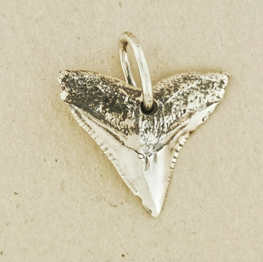 shark tooth pendant in sterling silver, silver shark pendant, silver shark tooth pendant, sterling silver shark tooth pendant, shark jewelry, silver shark jewelry, silver shark jewellery, silver shark necklace, silver tooth pendant, silver tooth jewelry, shark tooth, shark tooth pendant, shark tooth necklace, shark tooth jewellery, shark tooth jewelry