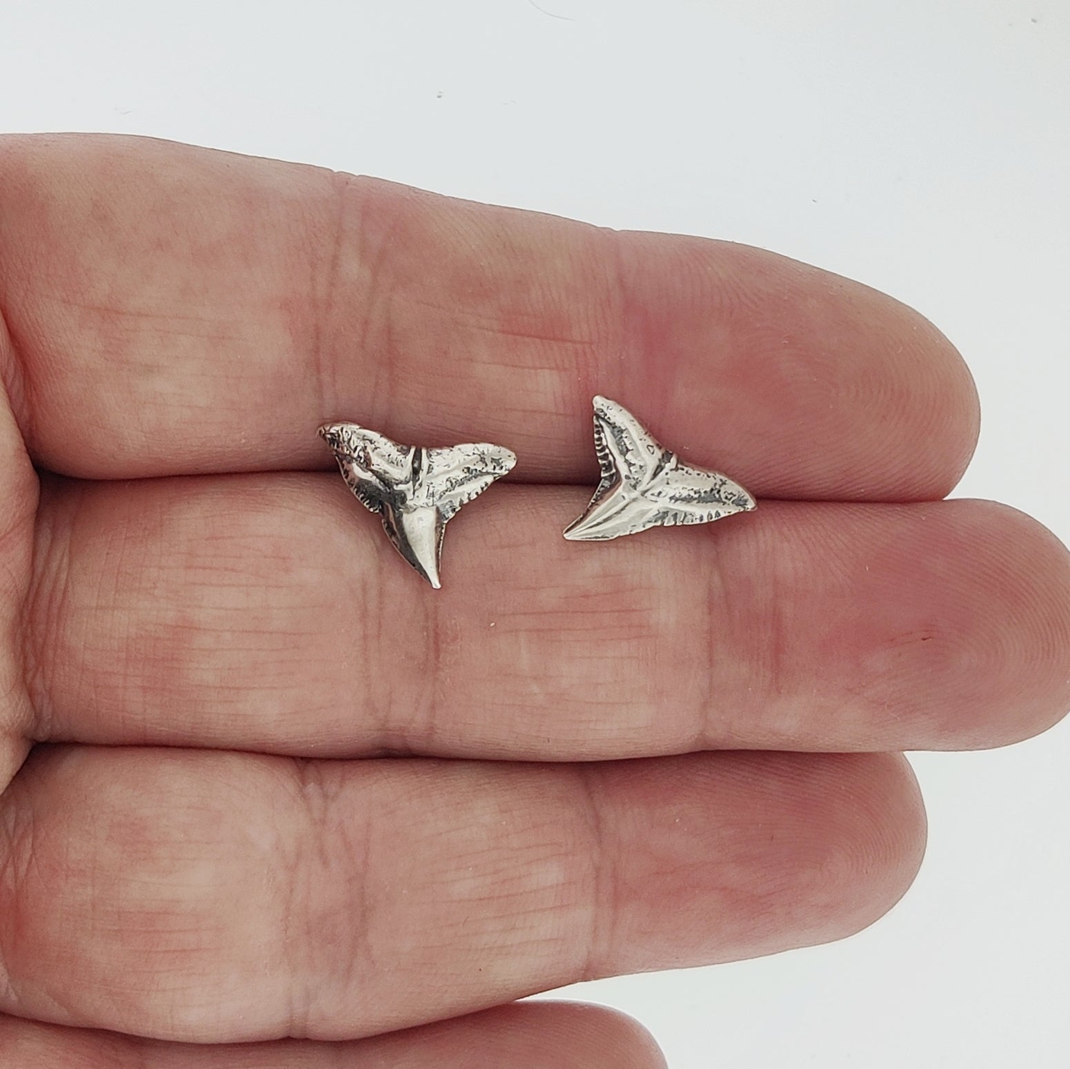 Small Shark Tooth Sterling Silver Stud Earrings - Le Dragon Argenté