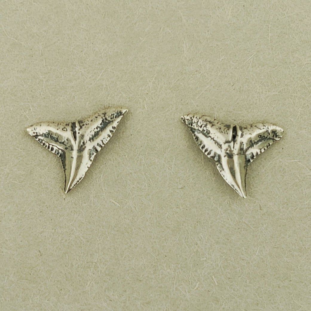 Small Shark Tooth Sterling Silver Stud Earrings - Le Dragon Argenté