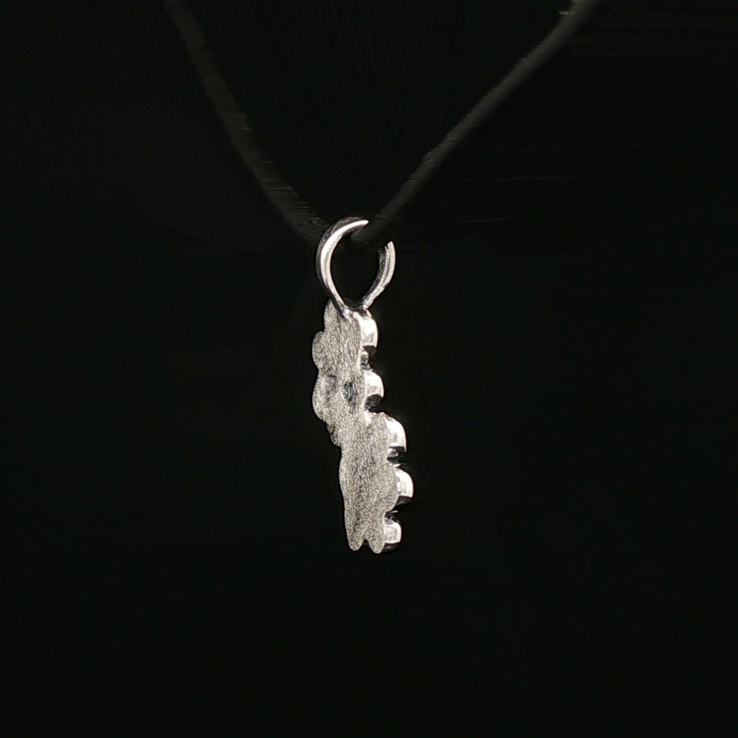 Twin Paw Print Pendant in Sterling Silver 