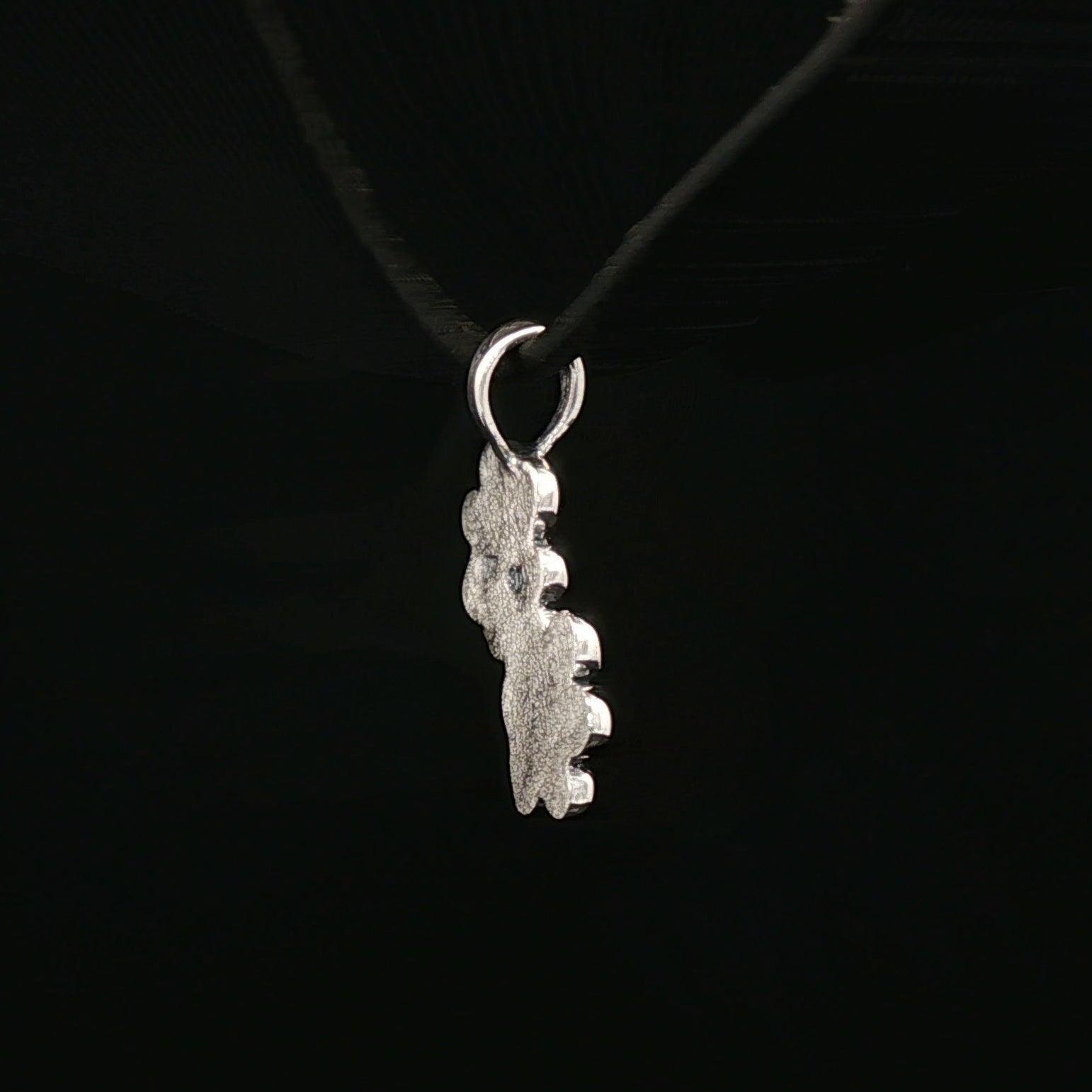 Twin Paw Print Pendant in Sterling Silver 