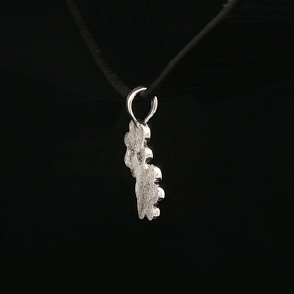 Twin Paw Print Pendant in Sterling Silver 