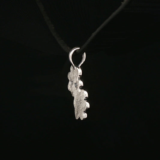 Twin Paw Print Pendant in Sterling Silver