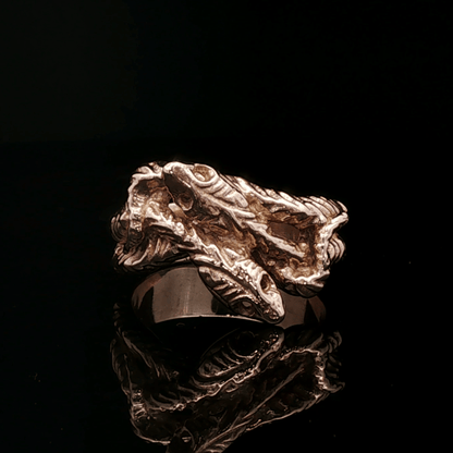 Vintage Style Twin Snakes Ring in Antique Bronze - Le Dragon Argenté