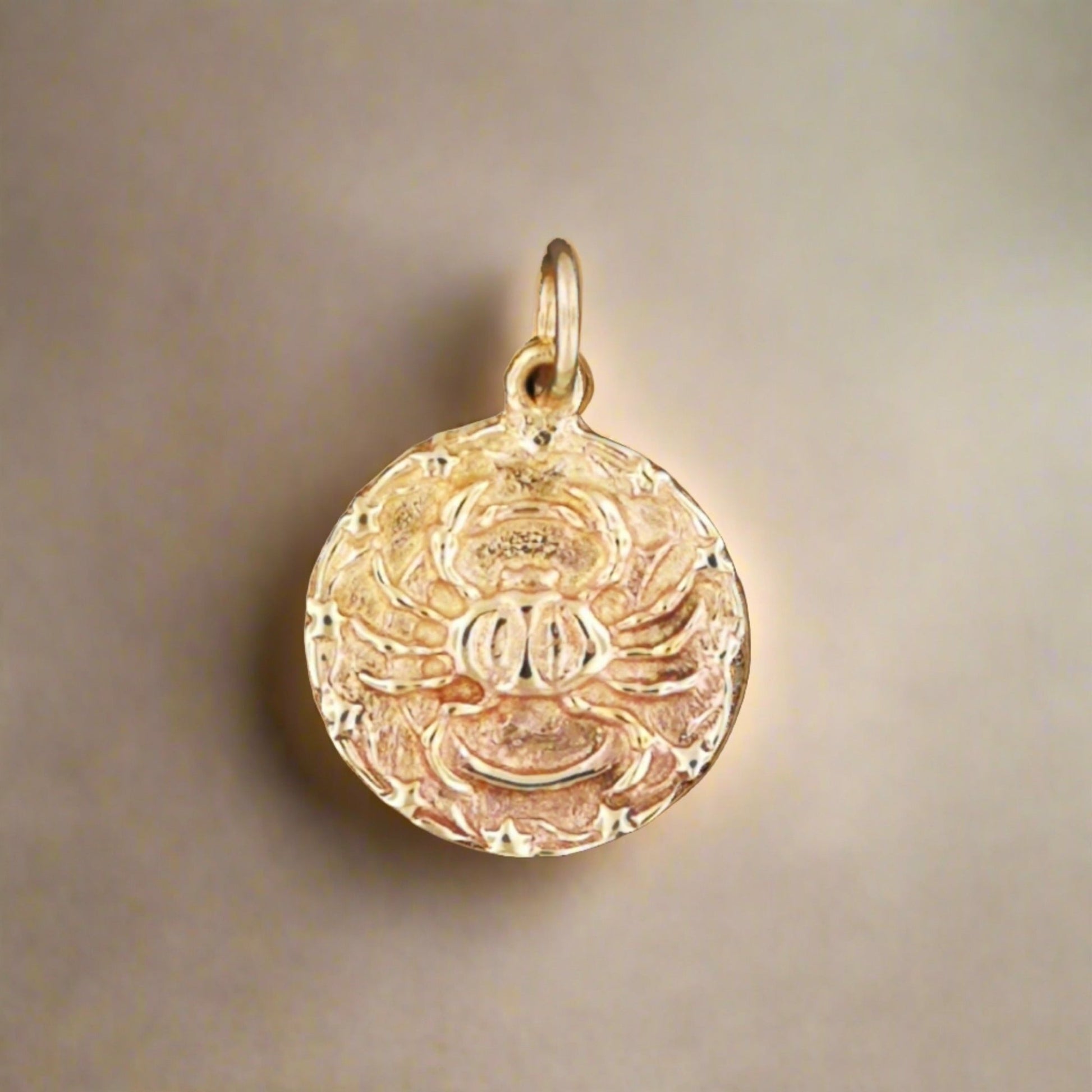 Zodiac Medallion in Sterling Silver Or Antique Bronze - Le Dragon Argenté