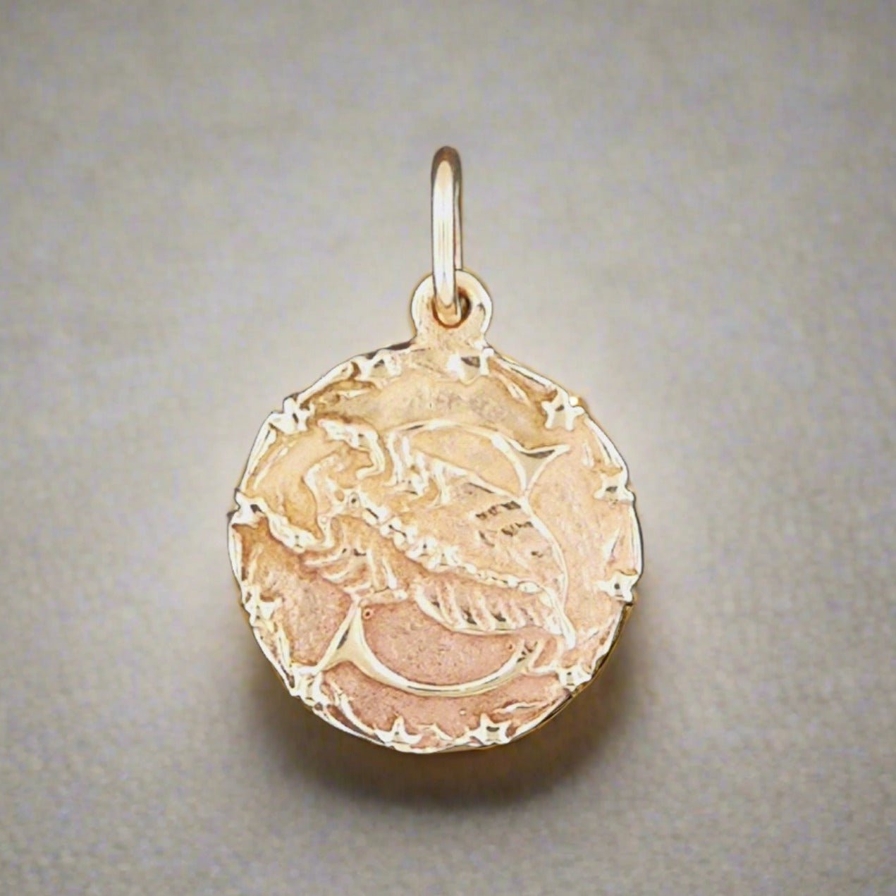 Zodiac Medallion in Sterling Silver Or Antique Bronze - Le Dragon Argenté