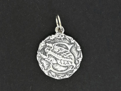 Médaillon du zodiaque Scorpion en argent sterling ou bronze antique