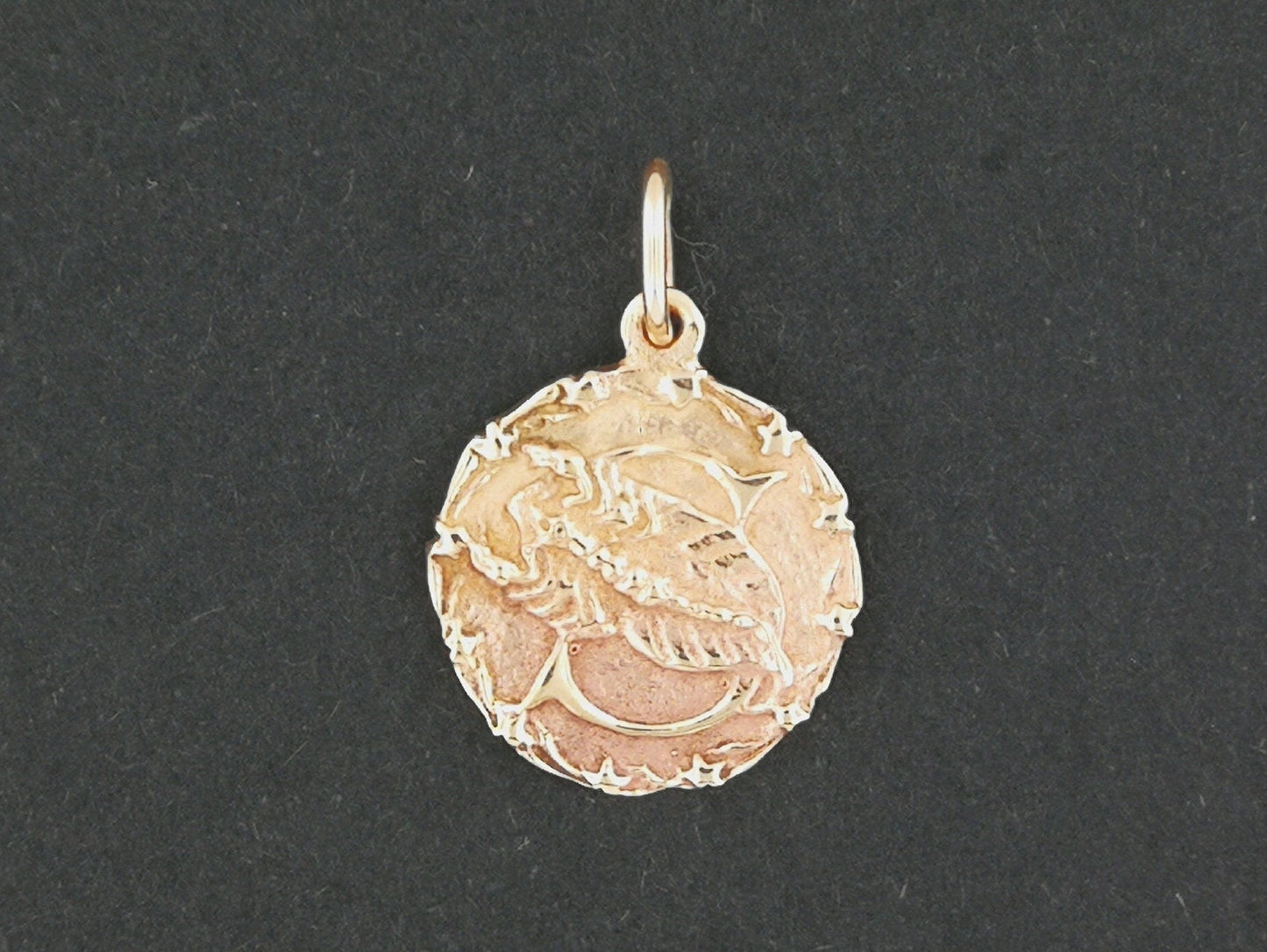 Médaillon du zodiaque Scorpion en argent sterling ou bronze antique